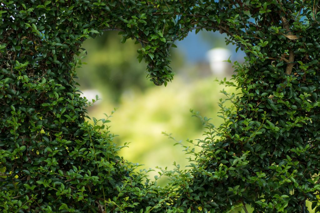 seeking God's will before dating