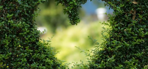 seeking God's will before dating