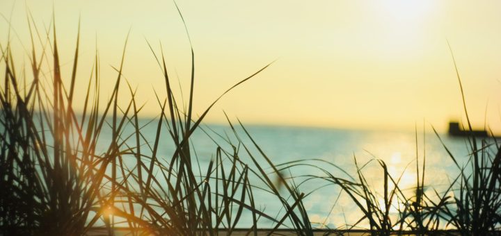 the significance of the meal offering