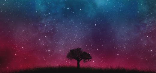 wise men and the star