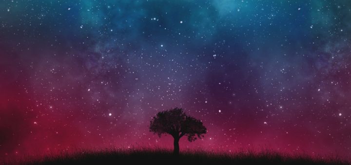 wise men and the star