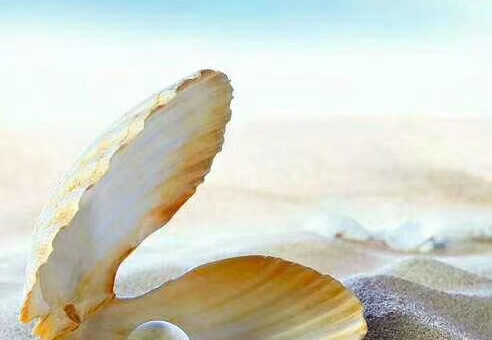 parables of kingdom of heavens