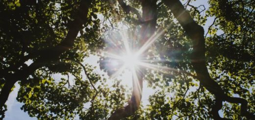 ending words in book of Romans