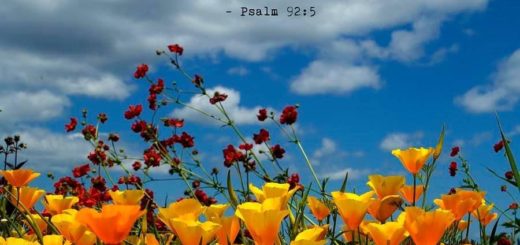 ending words of Book of Romans