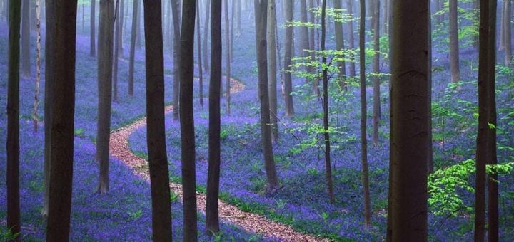the way leading to life