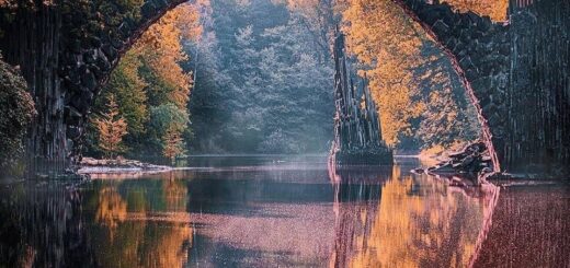 the narrow and wide gates