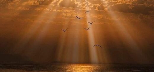 Christ's vicarious death and redemption and regeneration power of Christ's resurrection